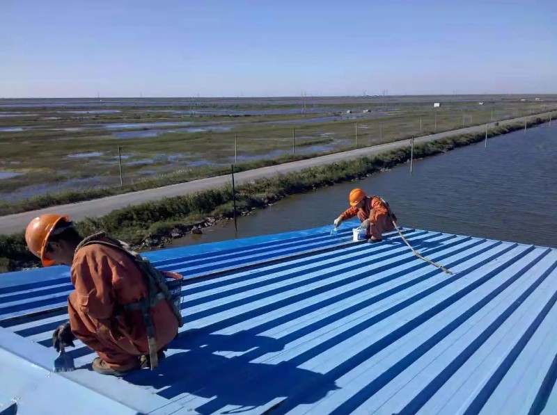 社旗县彩钢瓦屋面防腐翻新